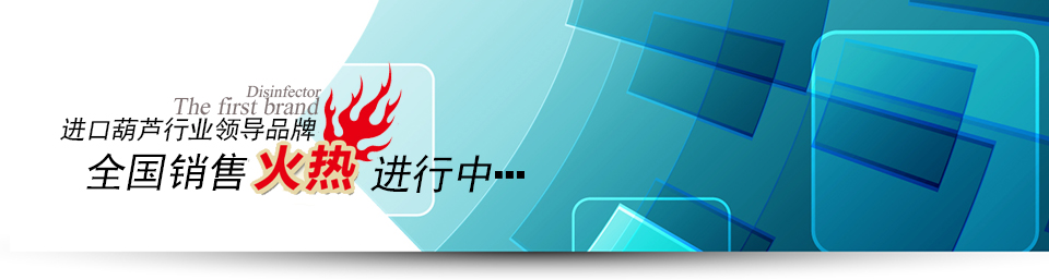 進(jìn)口手拉葫蘆火熱銷售中